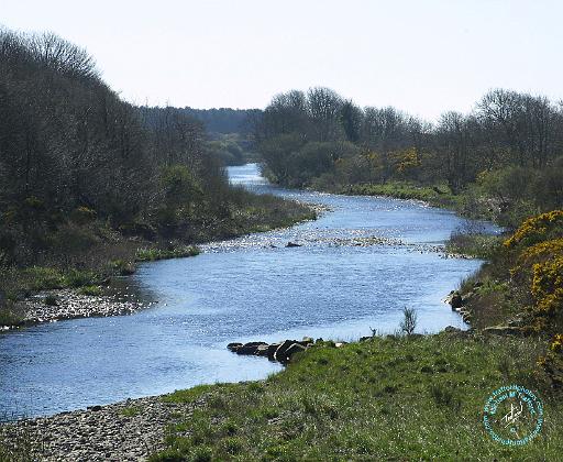 River in Kirkcudbrightshire 8R26D-12.JPG